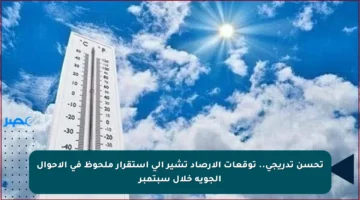 تحسن تدريجي.. توقعات الأرصاد تشير إلى استقرار ملحوظ في الأحوال الجوية خلال سبتمبر